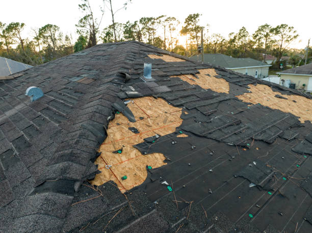 Best Roof Leak Repair  in Little Chute, WI